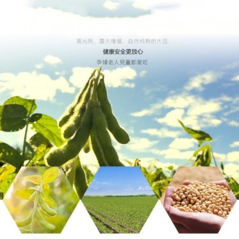 無鹽優質乾豆皮