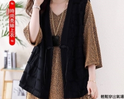 V領亮絲中袖上衣