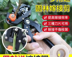 多功能嫁接神器