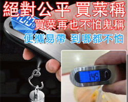 迷你便攜電子秤