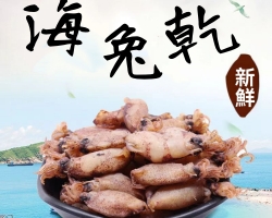 新鮮野生海兔乾