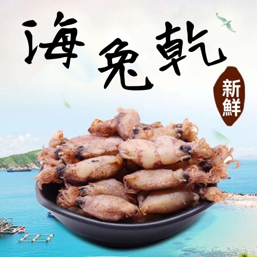 新鮮野生海兔乾