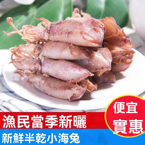 新鮮野生海兔乾