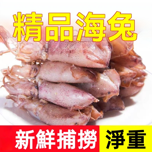 新鮮野生海兔乾