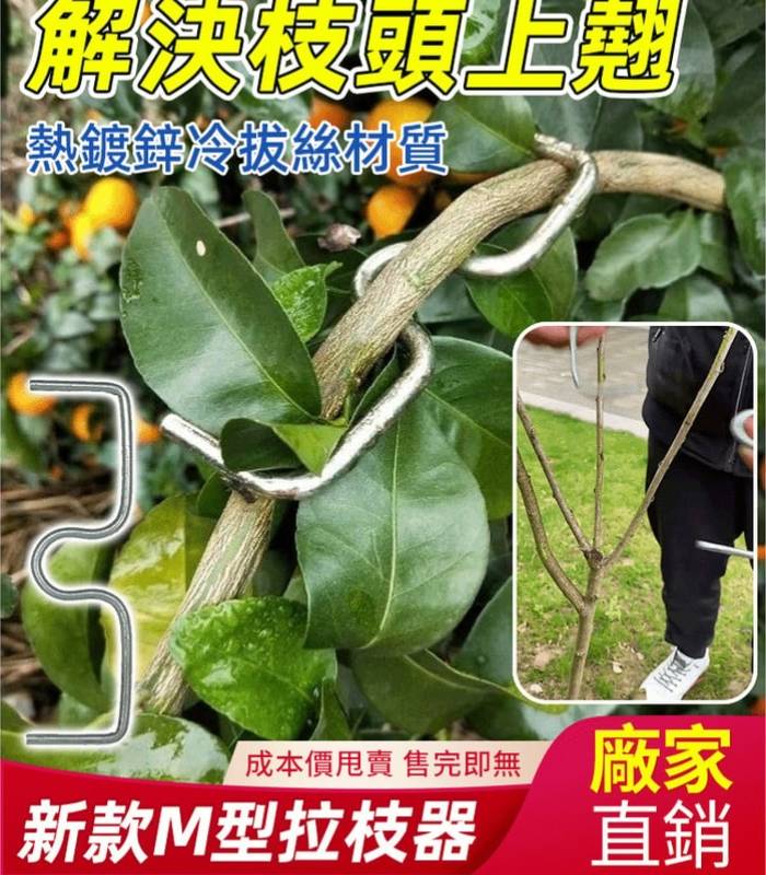 M型拉枝器